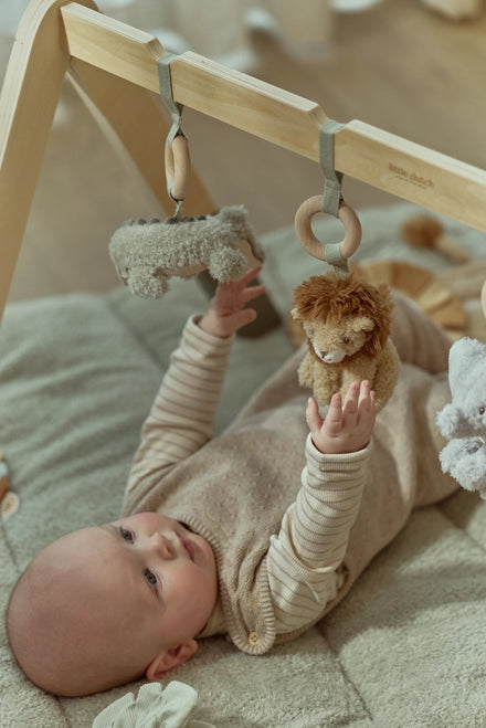 Little Dutch Babygym Safari Friends