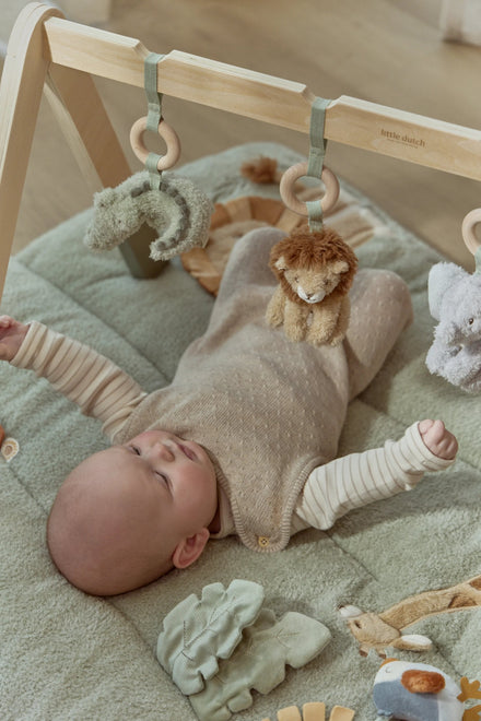 Little Dutch Babygym Safari Friends