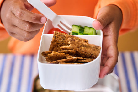 Mepal Little Dutch RVS Bento Lunchbox Campus Met Vakjes | Forest Friends