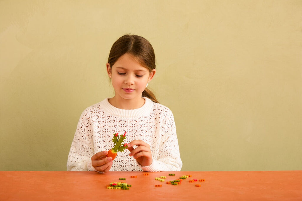 Plus Plus Plant Pack | Cactus