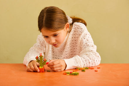 Plus Plus Plant Pack | Cactus