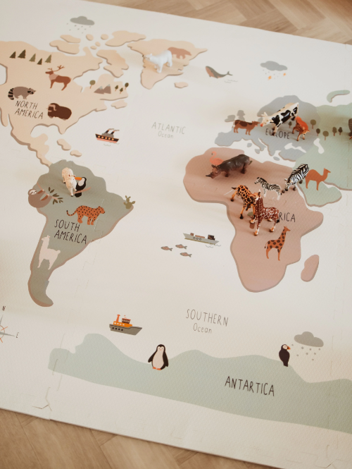Play And Go EEVAA 2-In-1 Speeltapijt Puzzelmat & Opbergbox | Worldmap Colour Design