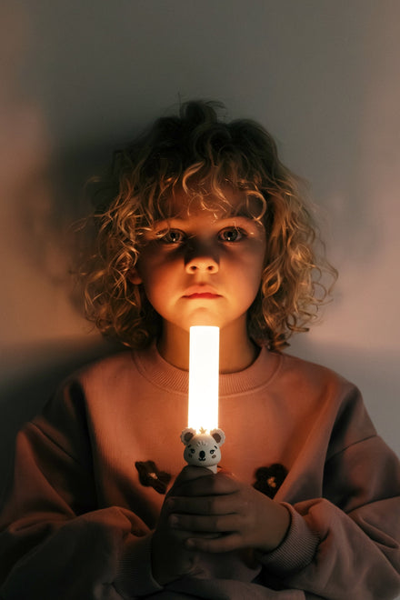 The Zoofamily Zoo Light Zaklamp | Koala