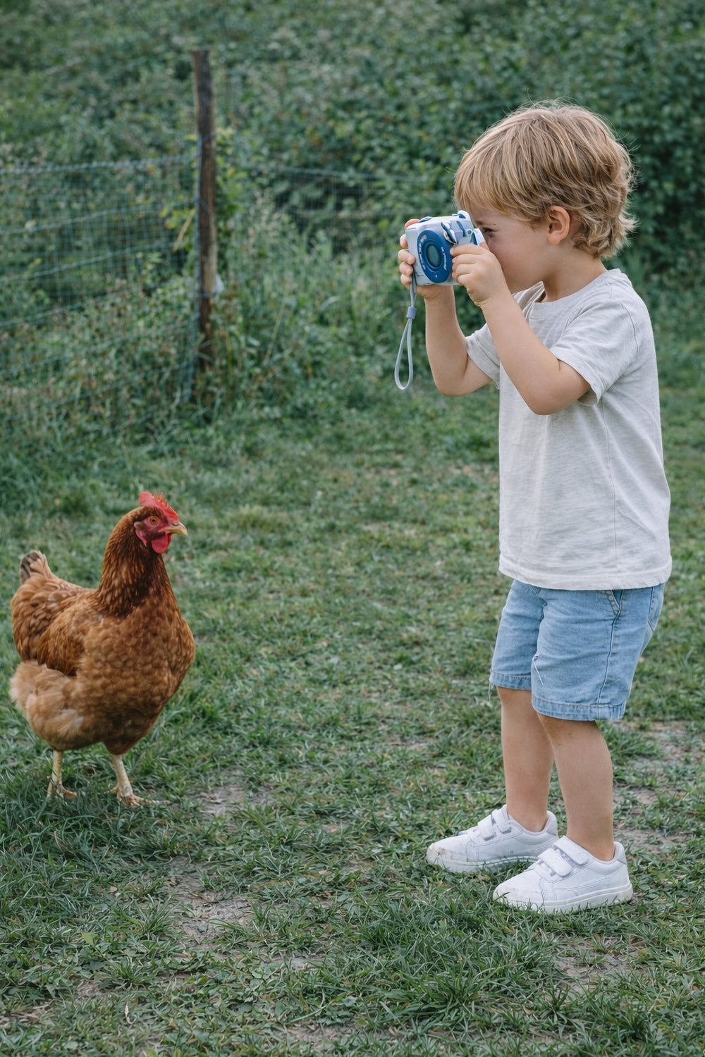 The Zoofamily Camera Zoo Print | Wasbeer