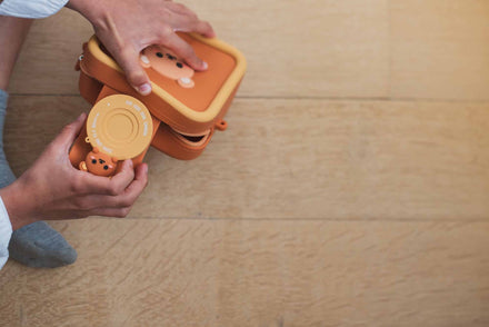 The Zoofamily Urban zoo | bear