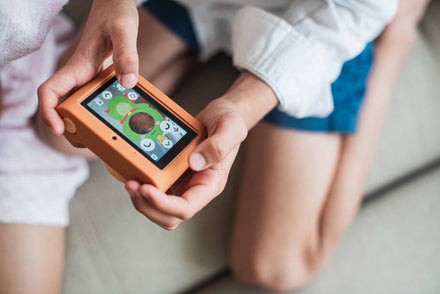 The Zoofamily Urban zoo | bear