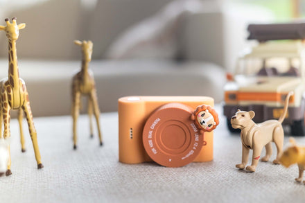 The Zoofamily Urban zoo | lion