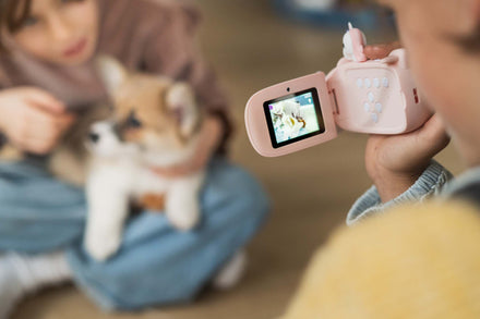 The Zoofamily Zoo video | unicorn