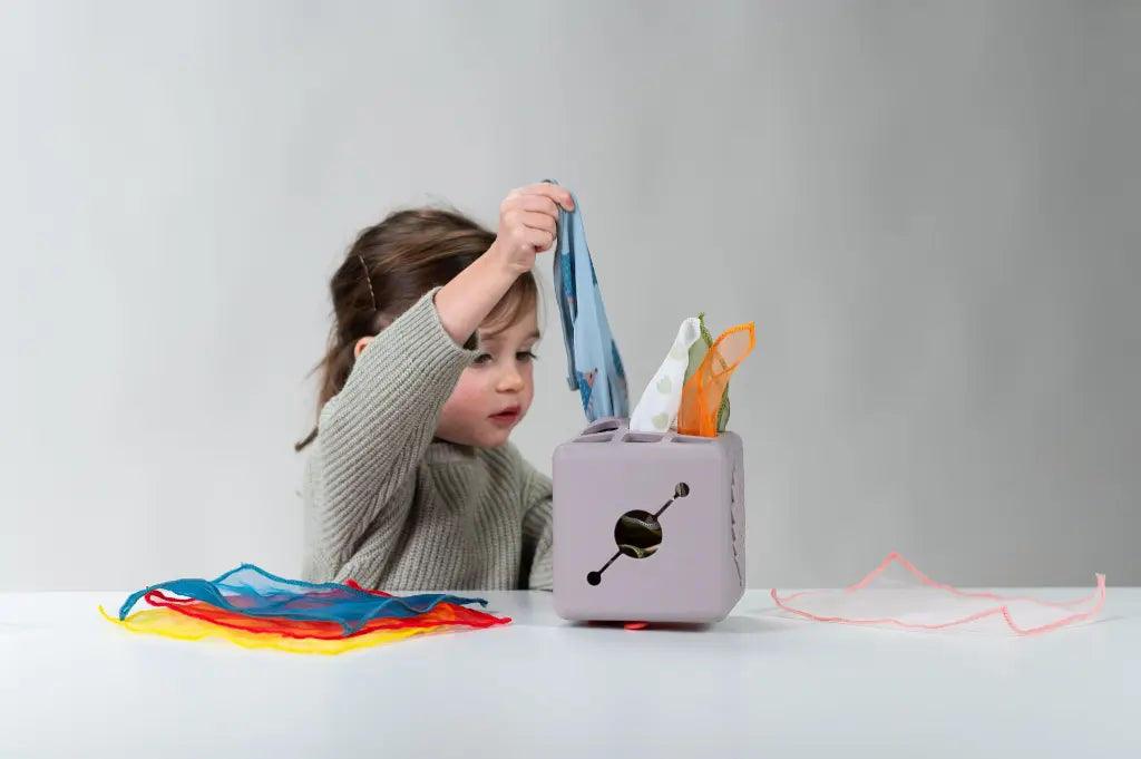 Taf Toys Pop-Up Tissue Box