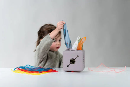 Taf Toys Pop-Up Tissue Box