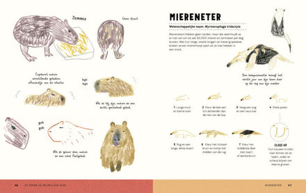 Boycott Zo Teken Je (bijna) Elk Dier