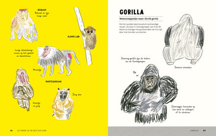 Boycott Zo Teken Je (bijna) Elk Dier