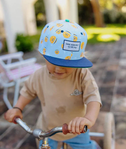 Hello Hossy Pet | Bball Crew