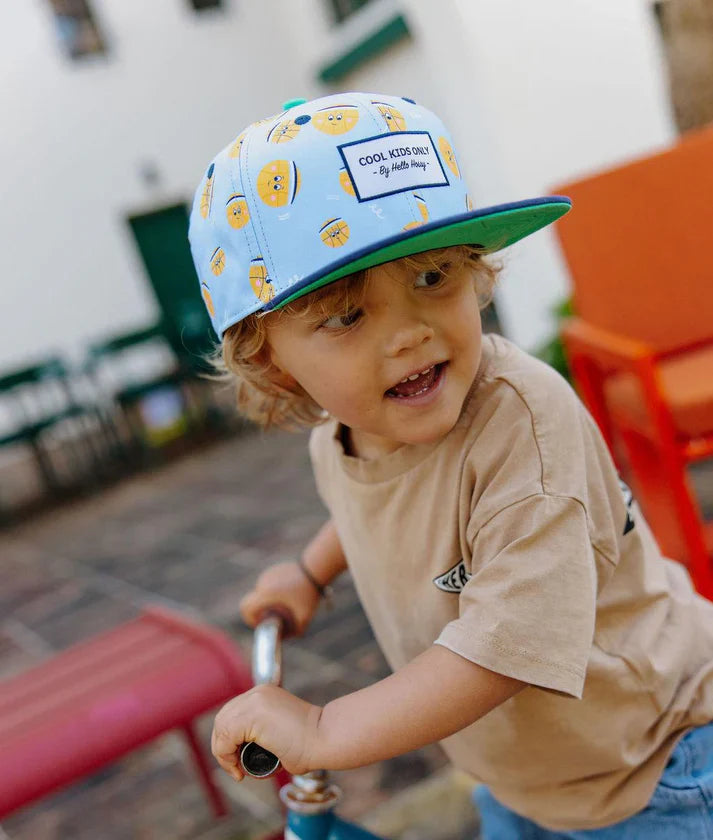 Hello Hossy Pet | Bball Crew