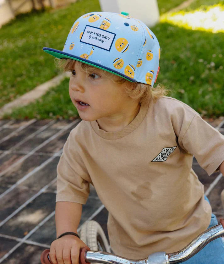 Hello Hossy Pet | Bball Crew