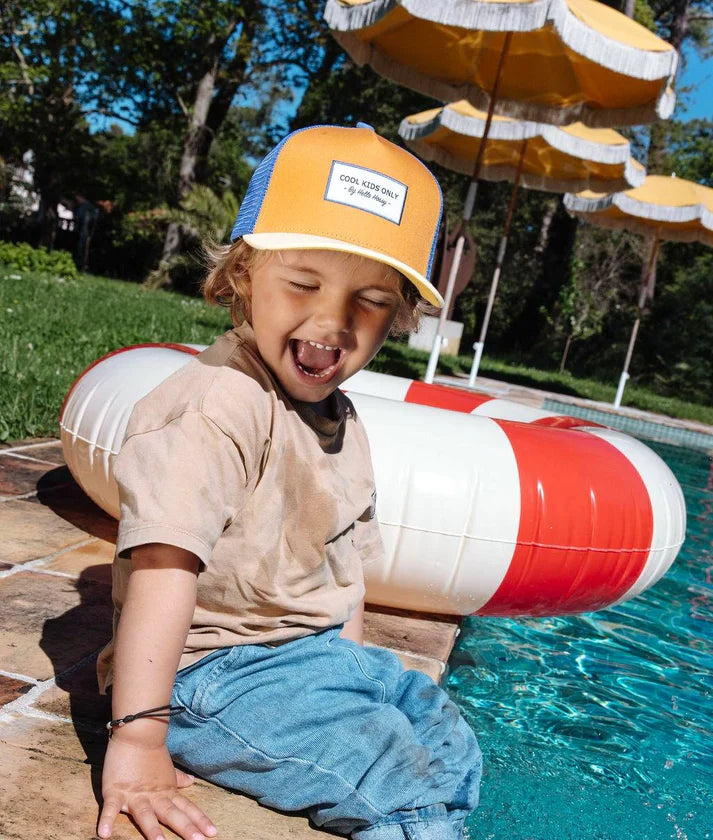 Hello Hossy Pet | Mini Canyon