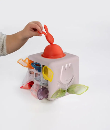 Taf Toys Pop-Up Tissue Box