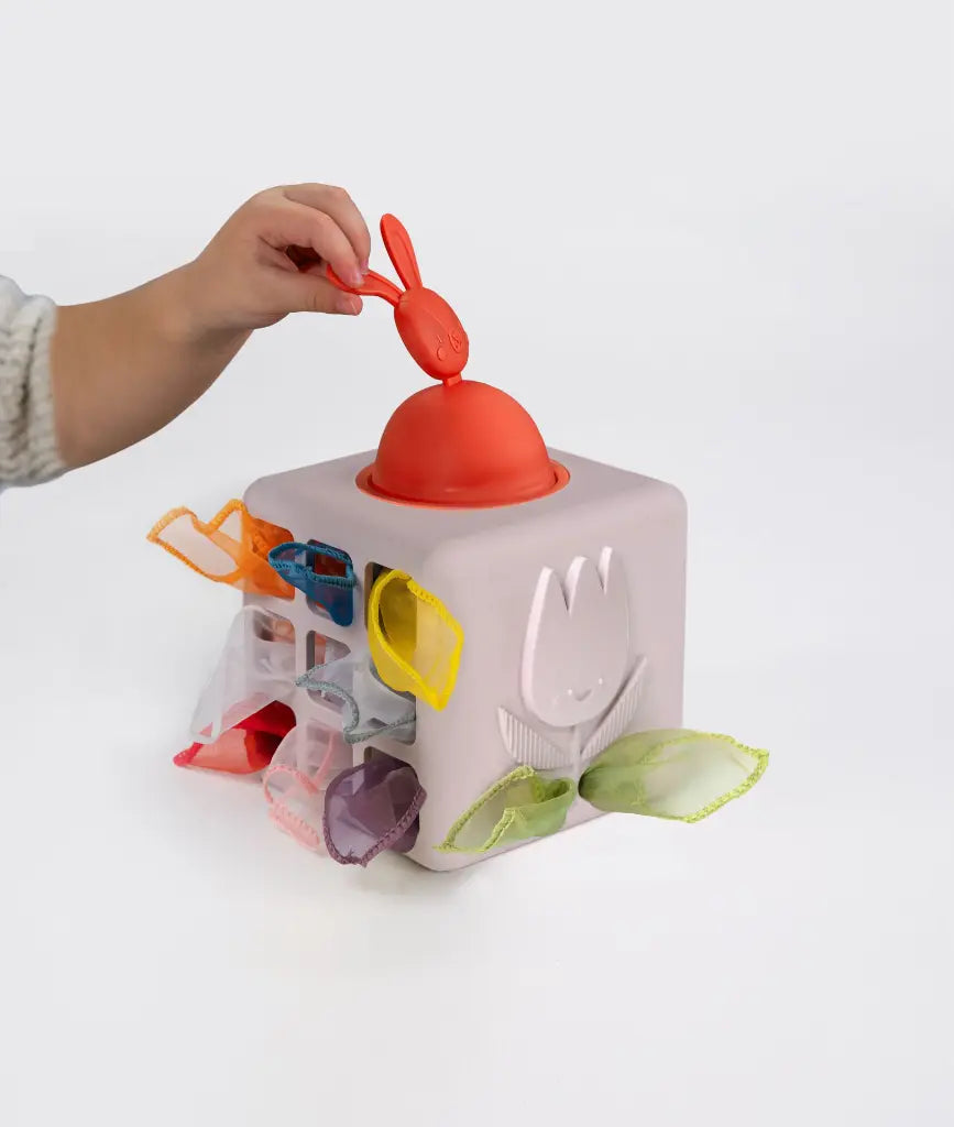 Taf Toys Pop-Up Tissue Box