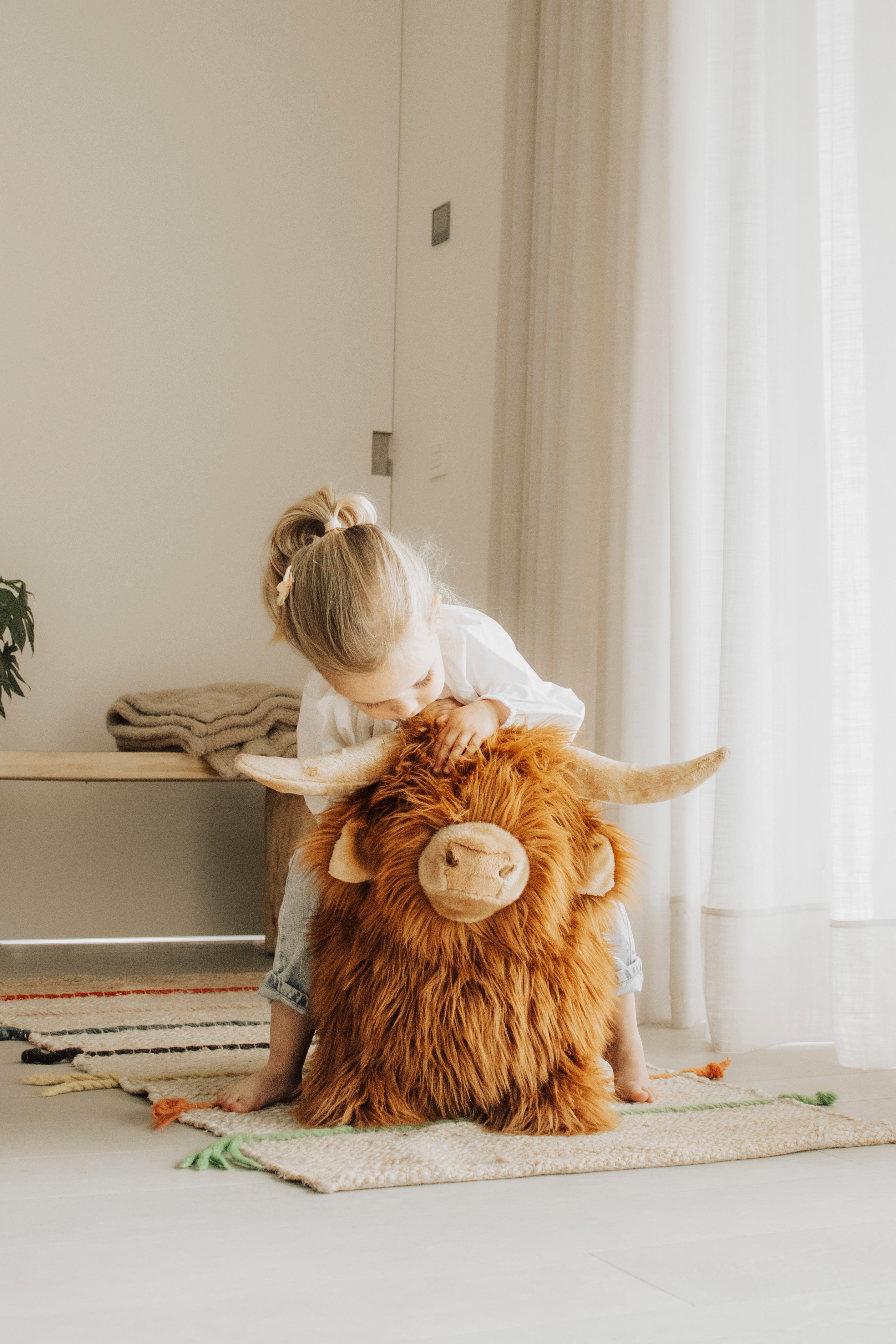 Wild & Soft Bouncy | Highland Koe