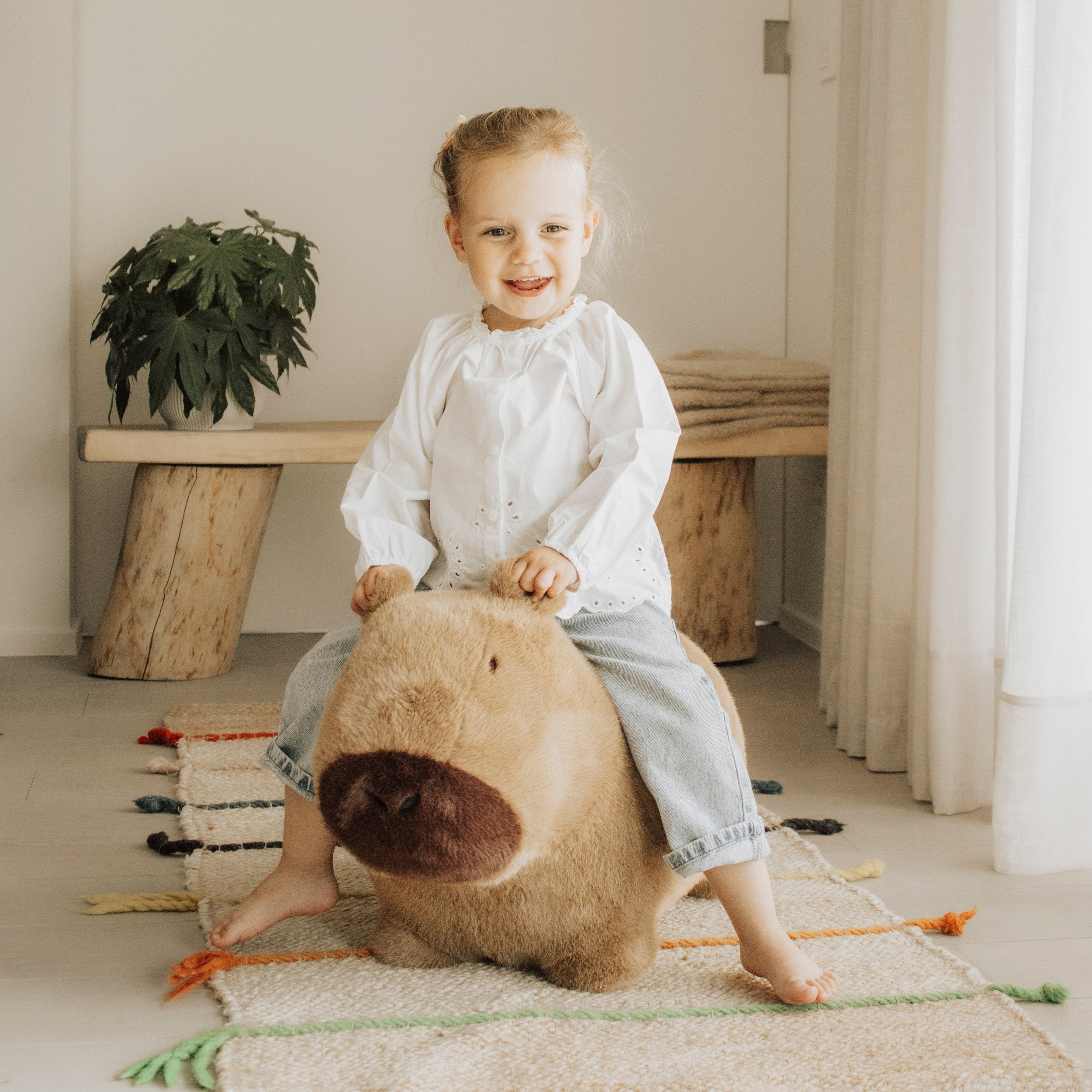Wild & Soft Bouncy | Capybara