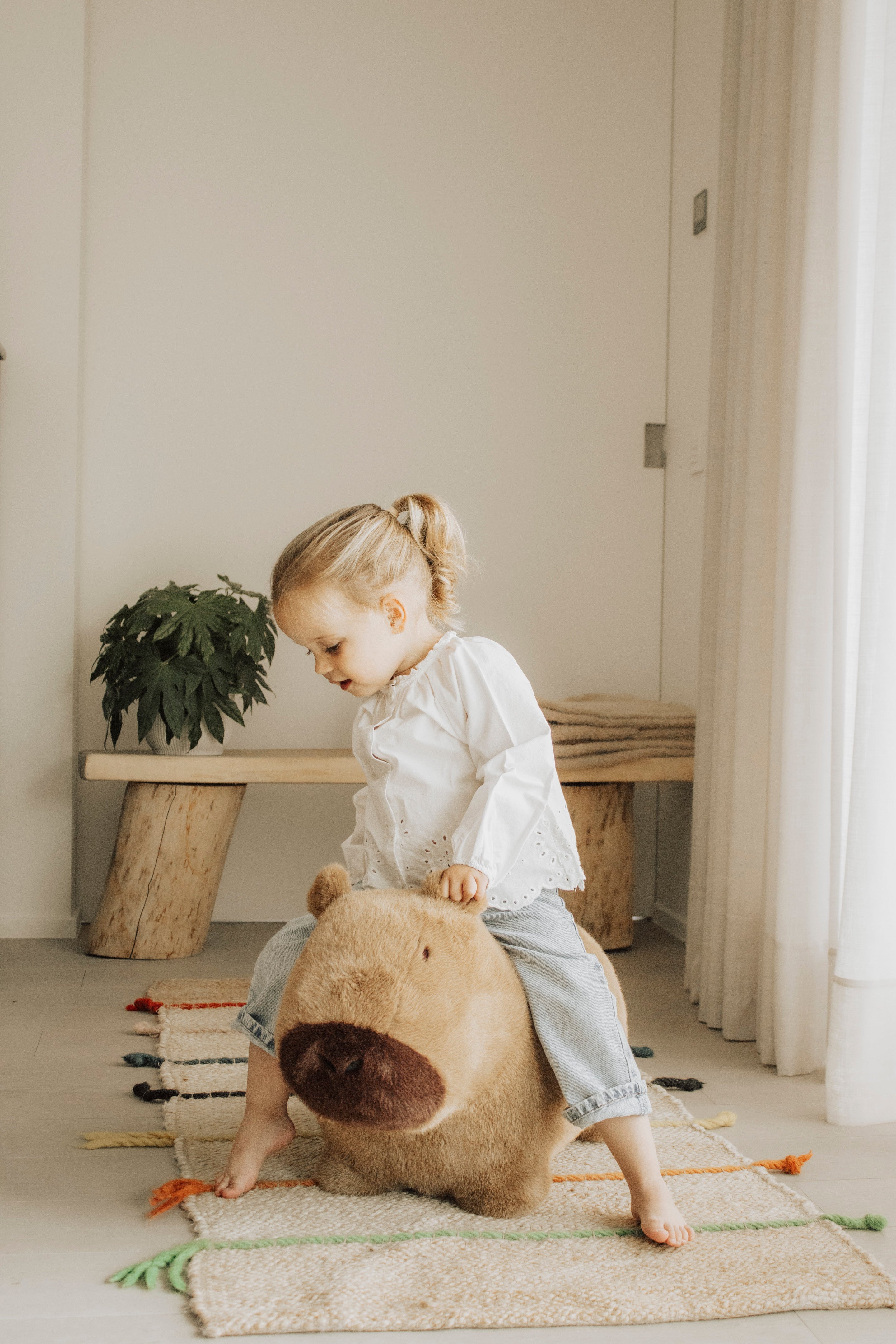 Wild & Soft Bouncy | Capybara