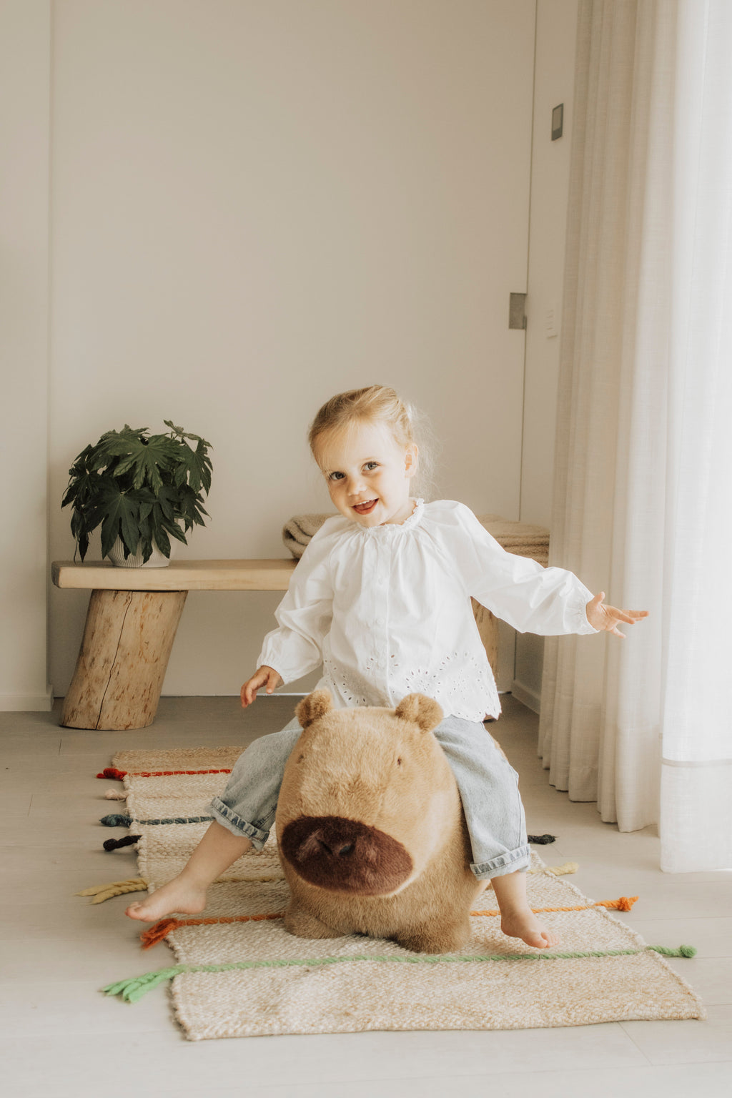 Wild & Soft Bouncy | Capybara