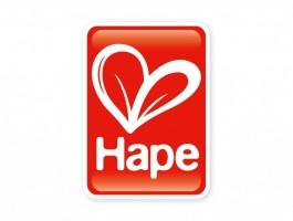 HAPE Houten inlegpuzzel Nummers