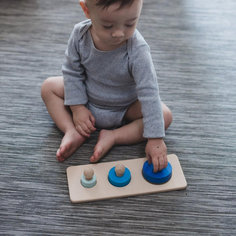 Plantoys cirkel vorm puzzel