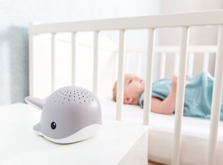 Zazu Projector Met Rustgevende Melodieën Wally De Walvis | Grijs