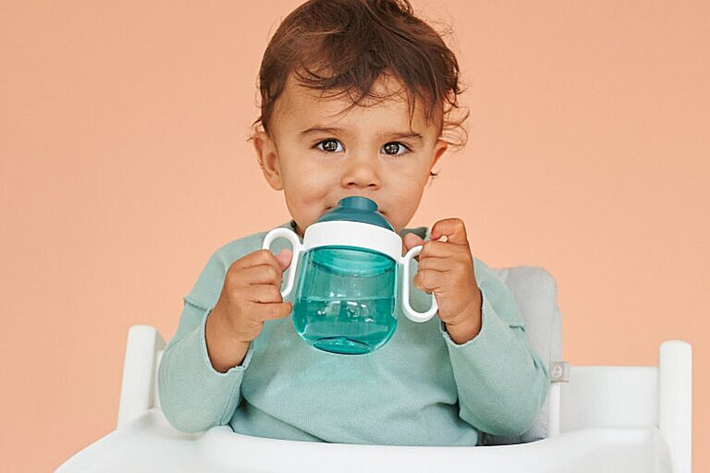 Mepal Little Dutch Drinkbeker Met Drinktuit Lekvrij 200ml | Flowers & Butterflies